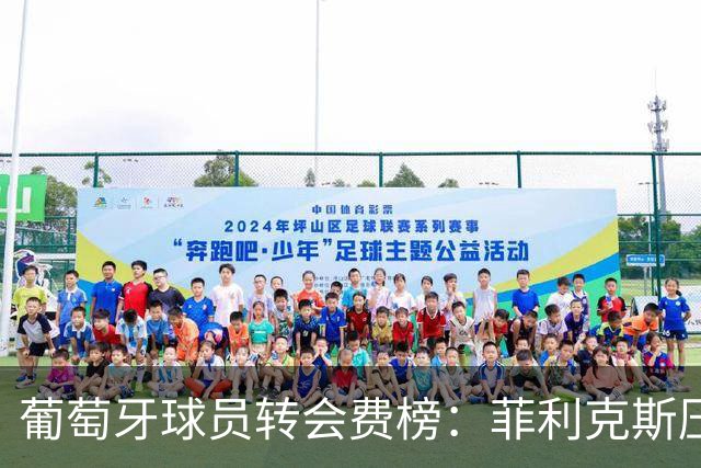 葡萄牙球员转会费榜：菲利克斯压C罗居首 M费、G·拉莫斯列前五
